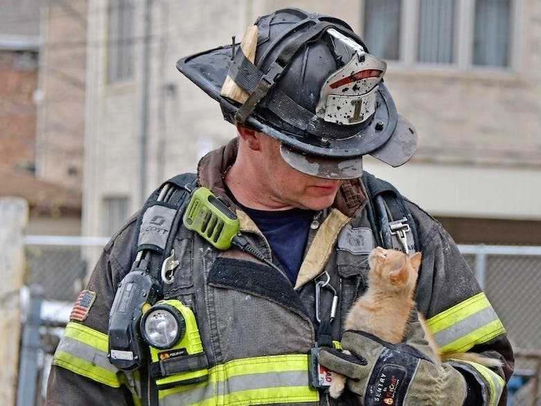 OLFD Battalion Chief Mike McMillan walks out with a kitten rescued from an apartment building fire last Sunday. 