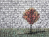 Award-winning Chicago artist Jennifer McNulty's "More Influence" exhibit, featuring her iconic 3D mosaics, runs Feb.  12 to March 6 at Saint Xavier University.  