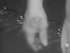 Worth police said in one of the incidents the suspect had a tattoo on his hand.