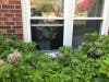 Terese Bolduc, sheltering in place from the pandemic, waves from the window of her room at Moraine Court Supportive Living.