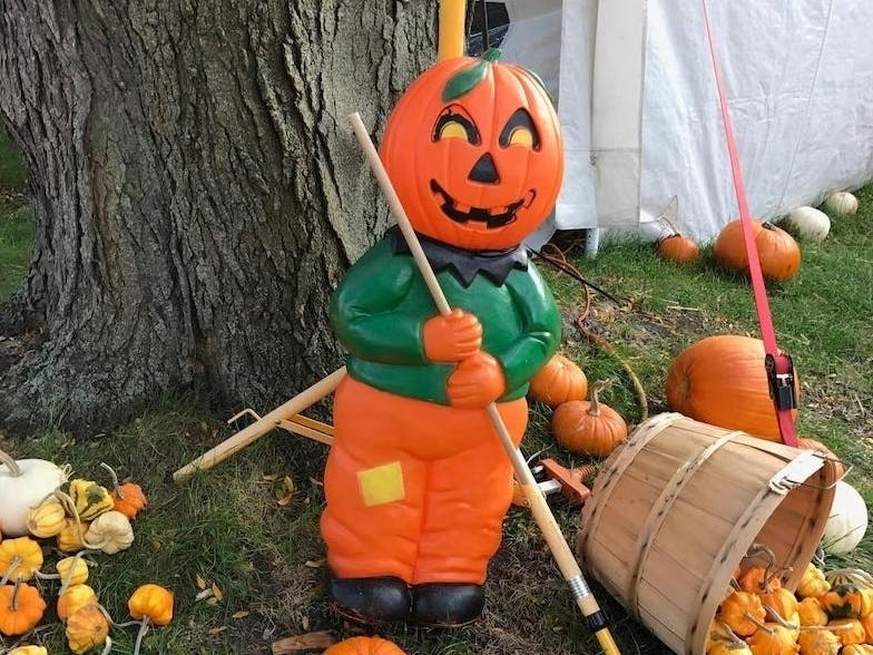 https://patch.com/img/cdn20/users/44719/20200928/015520/styles/patch_image/public/pumpkin___28134756599.jpg
