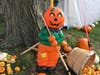 First United Methodist Church of Oak Lawn's pumpkin patch opens Sunday Oct. 11. 