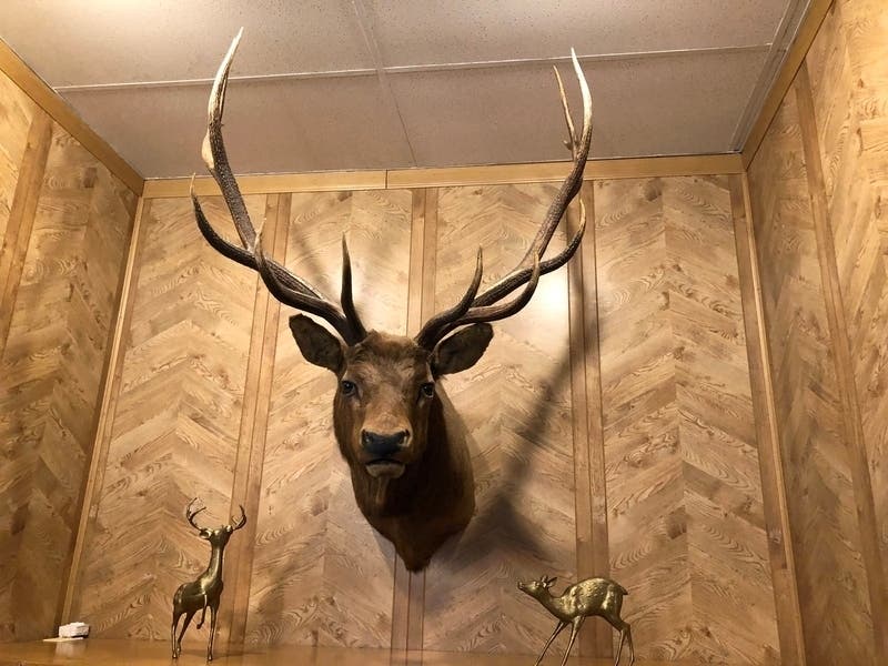 Elks Lodge 1596 in Crestwood will hosting its famous Elk World Craft and Vendor Show on Saturday, Oct. 24/