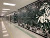 A large installation featuring over 200 photos taken from every decade of EPCHS's existence. 