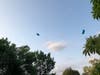 Two blue stars are released into the sky at the conclusion of a vigil for Chicago police in the 19th Ward. 