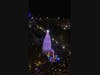 The Christmas Tree in Millennium Park in downtown Chicago. 