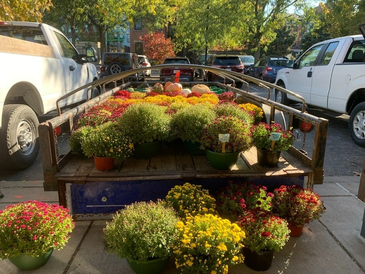 Evergreen Park Farmers Market's May theme highlights garden and floral vendors at summer opening Thursday, May 4 at Yukich Field. 