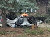 Aftermath of rollover crash with ejection on Oct. 31 in the 12400 block of Ridgeland Avenue in Palos Heights. 