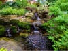 This waterfall in woodland retreat is featured on the Beverly Area Planning Association's Beverly-Morgan Park Garden Walk Sunday, July 21.