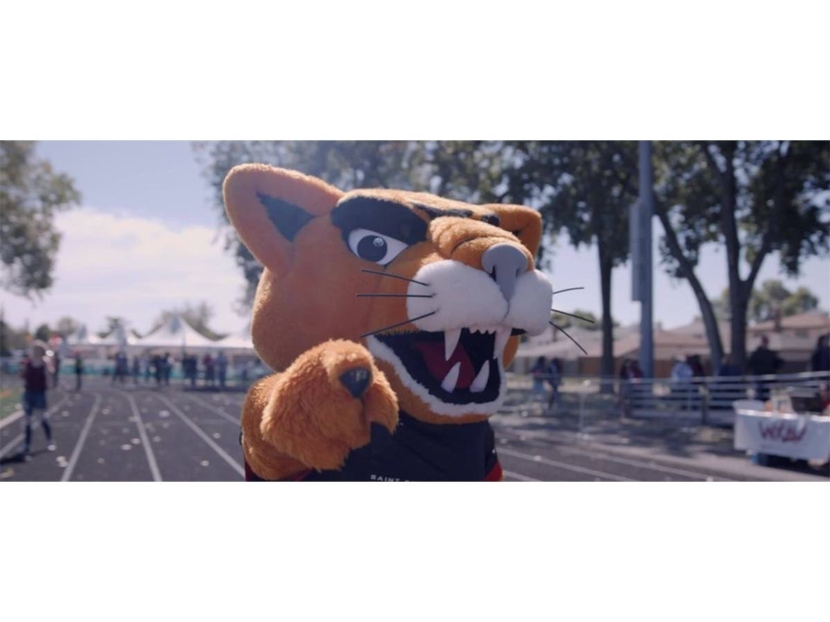 Saint Xavier University alumni are invited to the homecoming tailgate party Saturday, Oct. 19, when the SXU Cougars host St. Francis. 