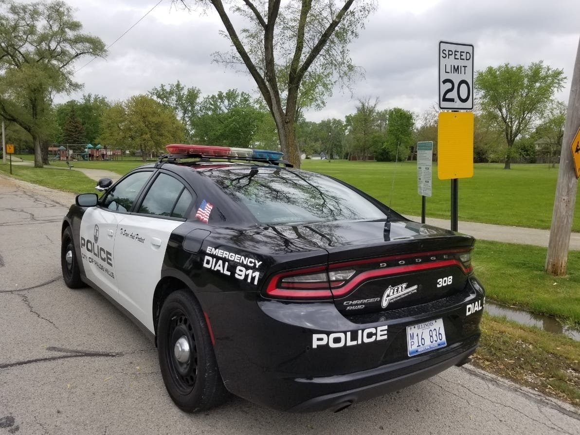 Palos Hills crime