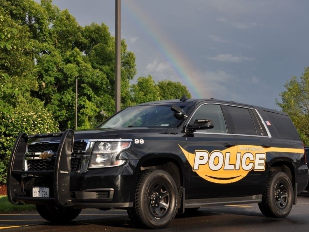 Two men claiming to be water department workers distracted an elderly Palos Park couple while an accomplice swiped costume jewelry elsewhere in the home.