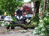 An Oak Lawn resident cleans up tree debris after 73mph winds blasted the Chicago area Wednesday afternoon. More severe storms are expected Thursday.