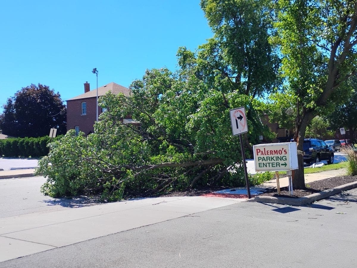 SBA and Cook County representatives will host a disaster outreach center at the Oak Lawn Library from June 15 to assist area residents affected by the storms in applying for low-interest loans.