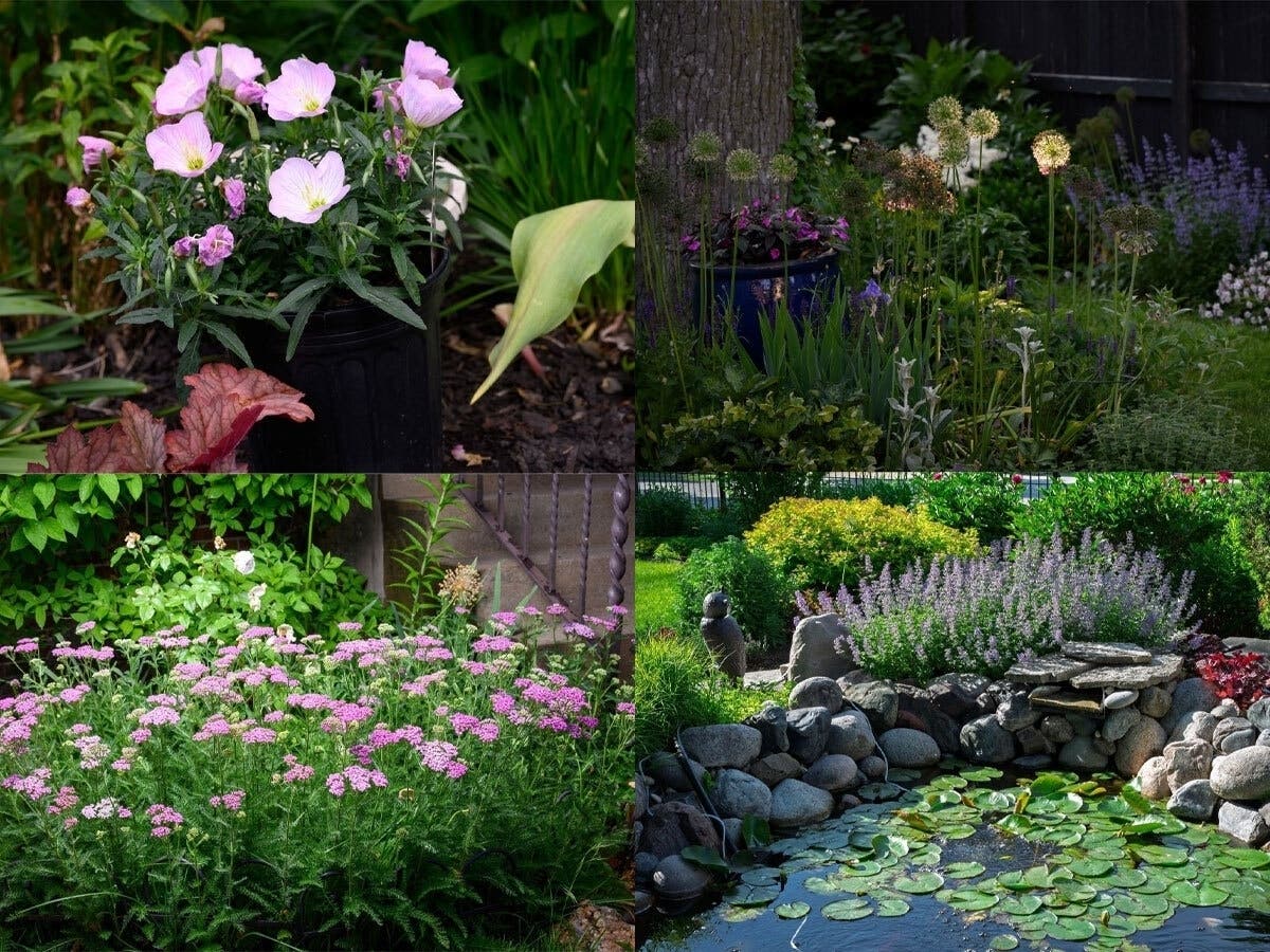 Beverly Area Planning Association's Garden Walk steps off Sunday, July 12, featuring innovative and inspiring spaces, tastings, and more.