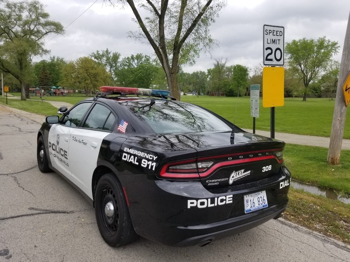 Palos Hills crime