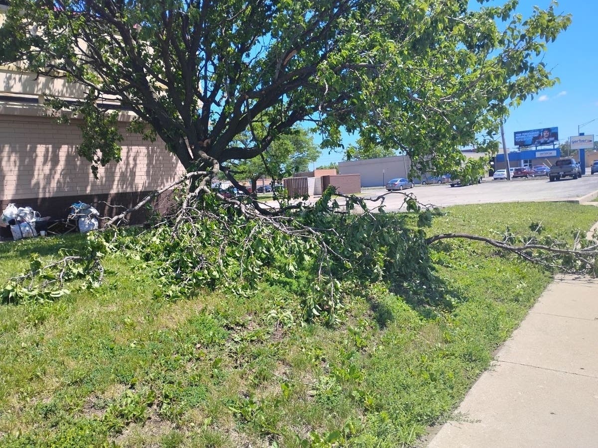 Oak Lawn public works crews will make a final sweep this week through the village for storm debris. Email the village if you still have branches.