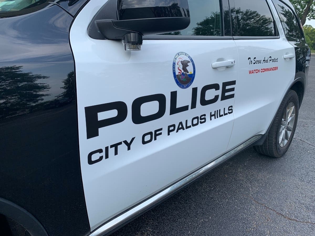 Palos Hills crime