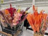 Home decor is being offered at steep discounts at Dave's Furniture and Mattress Outlet atn8148 S. Cicero Ave., Burbank. 