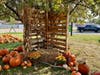 There are photo ops around every corner at the First United Methodist Church of Oak Lawn's pumpkin patch at 100th Street and Central Avenue.