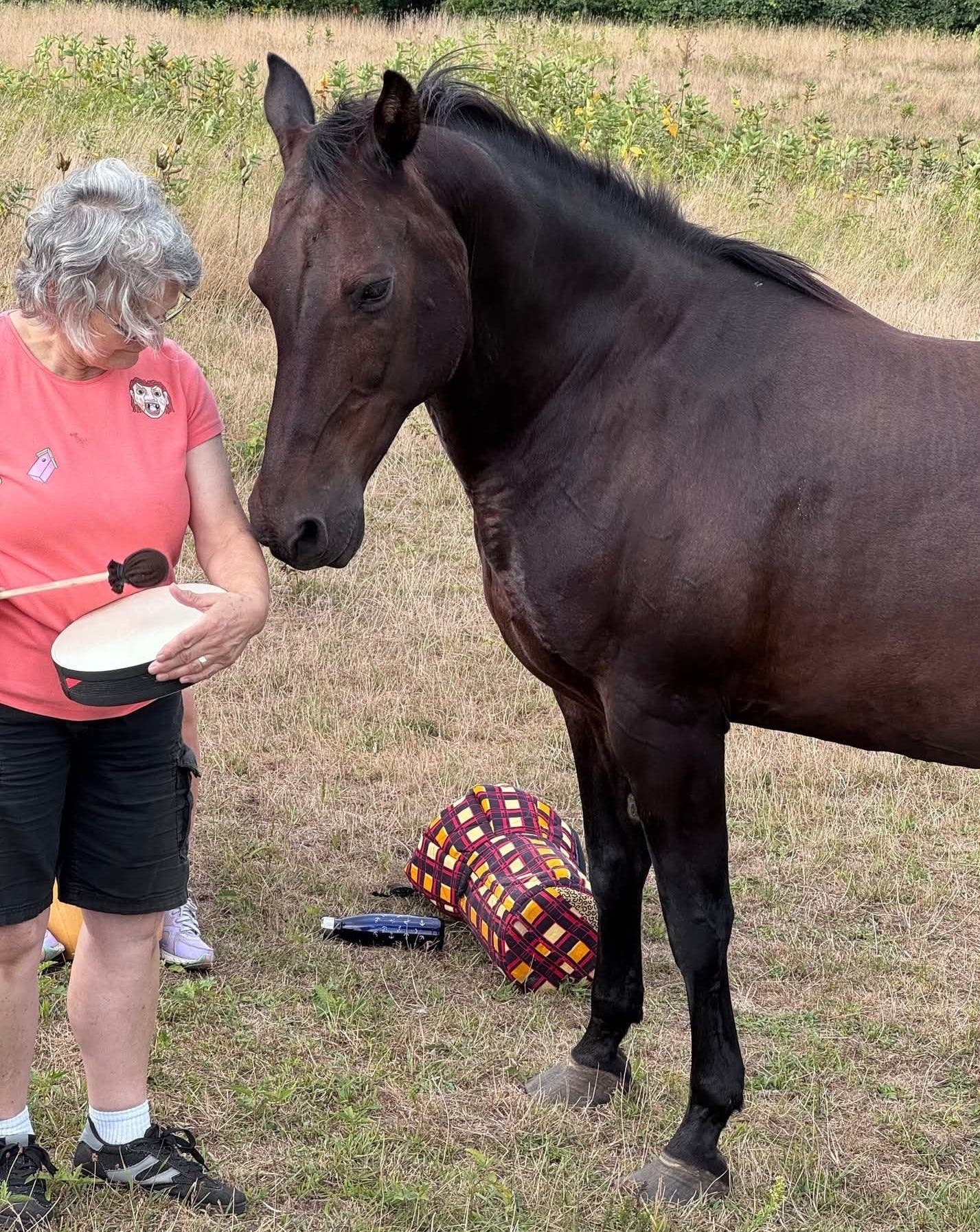 Drum Circle and Sound Bath at Horse Play