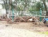 Debris from the flood