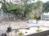 Garden after cleanup