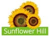 Sunflower Hill creates places and spaces where adults with intellectual and developmental disabilities (I/DD) live, work, learn, and thrive