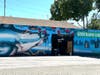 Good Karma Bikes location is close to the San Jose Sharks arena