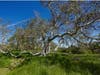 Sycamore Grove Park in Livermore