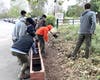 Eagle Project at Sycamore Park