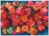 Peppers