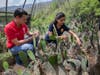Rotaract, Agriculture