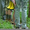 Hikers learn Stony Brook among D&R Greenway's stately trees, by Laura Hawkins