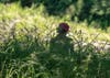 Healthy peace of the outdoors: Laura Hawkins