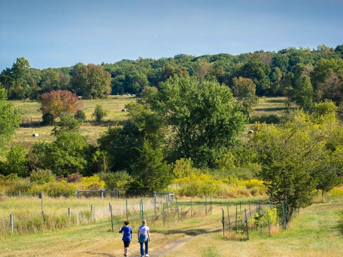 https://patch.com/img/cdn20/users/481749/20191001/105512/styles/patch_image/public/st-michaels-trail-hikers-by-carl-geisler___01104928872.jpg