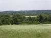 Village of Hopewell glistens beyond St. Michaels wildflower meadow
