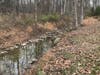 Healthy stream blesses D&R Greenway's newly preserved Koch property in Hopewell