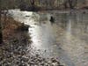 Tributary of Stony Brook rises on Maziarz Property, recently preserved by D&R Greenway