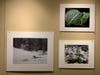 Leslie Kuenne close-ups of nature that so nourished her in life