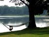 Tranquility Base: Riverton, New Jersey, reachable by the River Line Train, upon luminous Delaware River