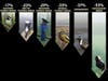 Image Grid of Bird Losses since 1970 - Grassland Birds Loss Most severe