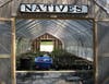 D&R Greenway's Native Plant Nursery - ready for on-line ordering now