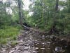 Singh Property: "Come, Walk in Water, in the Stony Brook..."