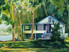 Cottage on Lewis Island by Carol Sanzalone