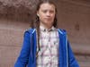 Greta Thunberg at early climate rally