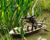 "Charon" from "Emergence" -- Nature from Child's Viewpoint