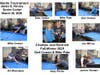 Collage of players