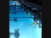 Pictured preparing for morning practice at the Madison Community Pool, one of the Madison Area YMCA’s outdoor partner pools, are Elena Latorre age 14 from Chatham and Naomi Blau age 13 from New York.  