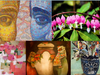 Left to right, top row: Pair (Yellow & Blue) by Chris Churchin and Bleeding Hearts by Jessica Manelis; bottom row: Pinks by Nancy Barch; Cloaked Vases by Peter Ehlinger; Floral Blue by Maria Verni.